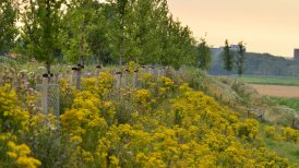 2022 13 en 22 juli 162